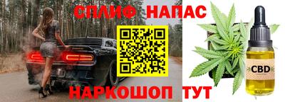 стафф Волгодонск