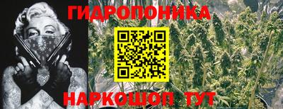 МДПВ Волжск