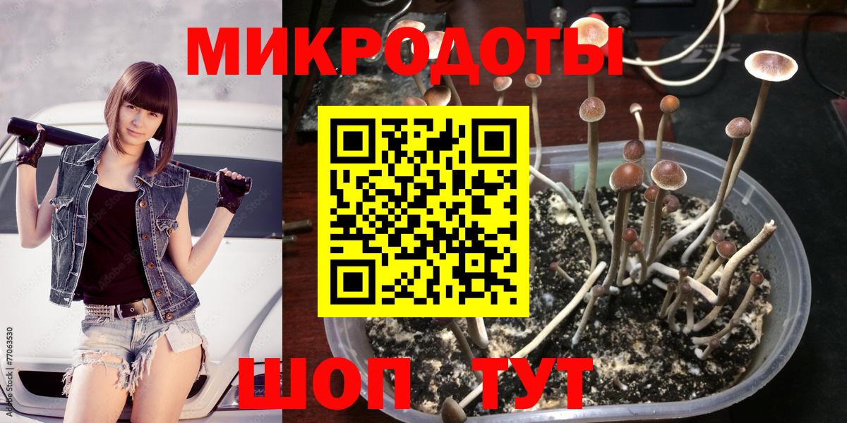 Кумертау  Галлюциногенные грибы мицелий  Вход с VPN 