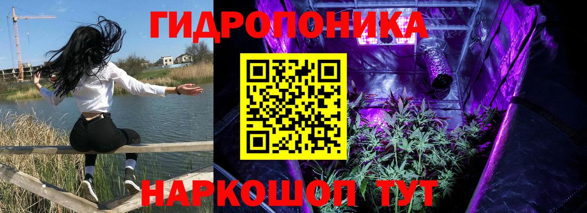 Конопля Bruce Banner  МАРИХУАНА Ganja  Кумертау  Шишки марихуана THC 21%  Вход с VPN 